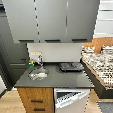 公寓 Asil House 伊斯坦布尔