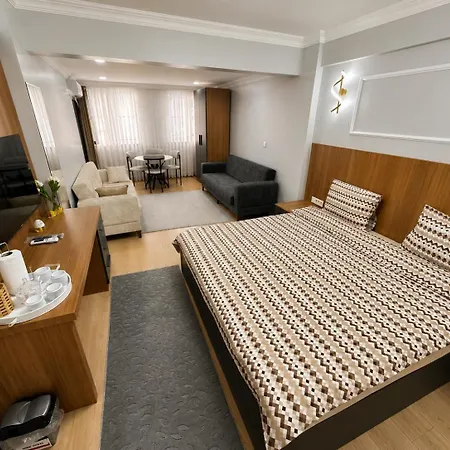 Asil House 4* Provincia di Istanbul